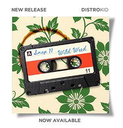 Promo image for Wild Weed original song by Snap11 Studio